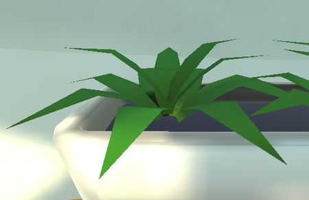 plant-life